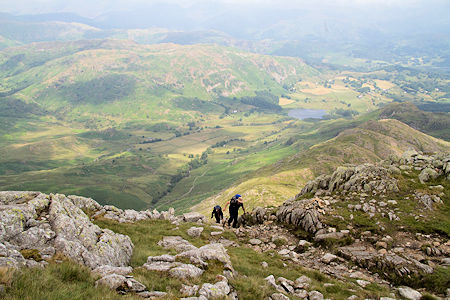 Thumbnail Image 1