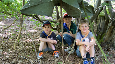 Thumbnail Image 1