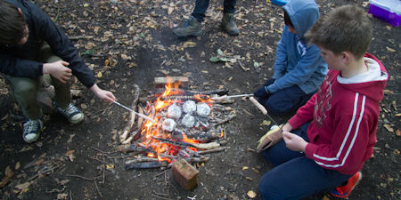 Thumbnail Image 1